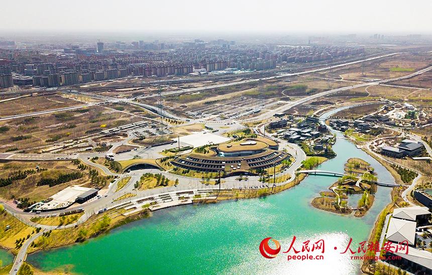 航拍雄安郊野公園。人民網(wǎng)宋燁文攝