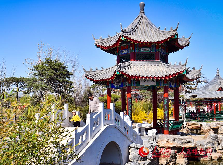 春天的雄安郊野公園，春和景明。人民網(wǎng)宋燁文攝
