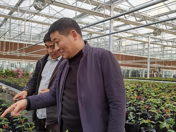 諸新良和農(nóng)戶一起研究花木種植技術(shù)。受訪者供圖