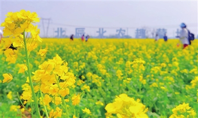 651755f8732279efc3c8b0d21b7f3cfd_p5_b.jpg 651755f8732279efc3c8b0d21b7f3cfd_p5_b.jpg