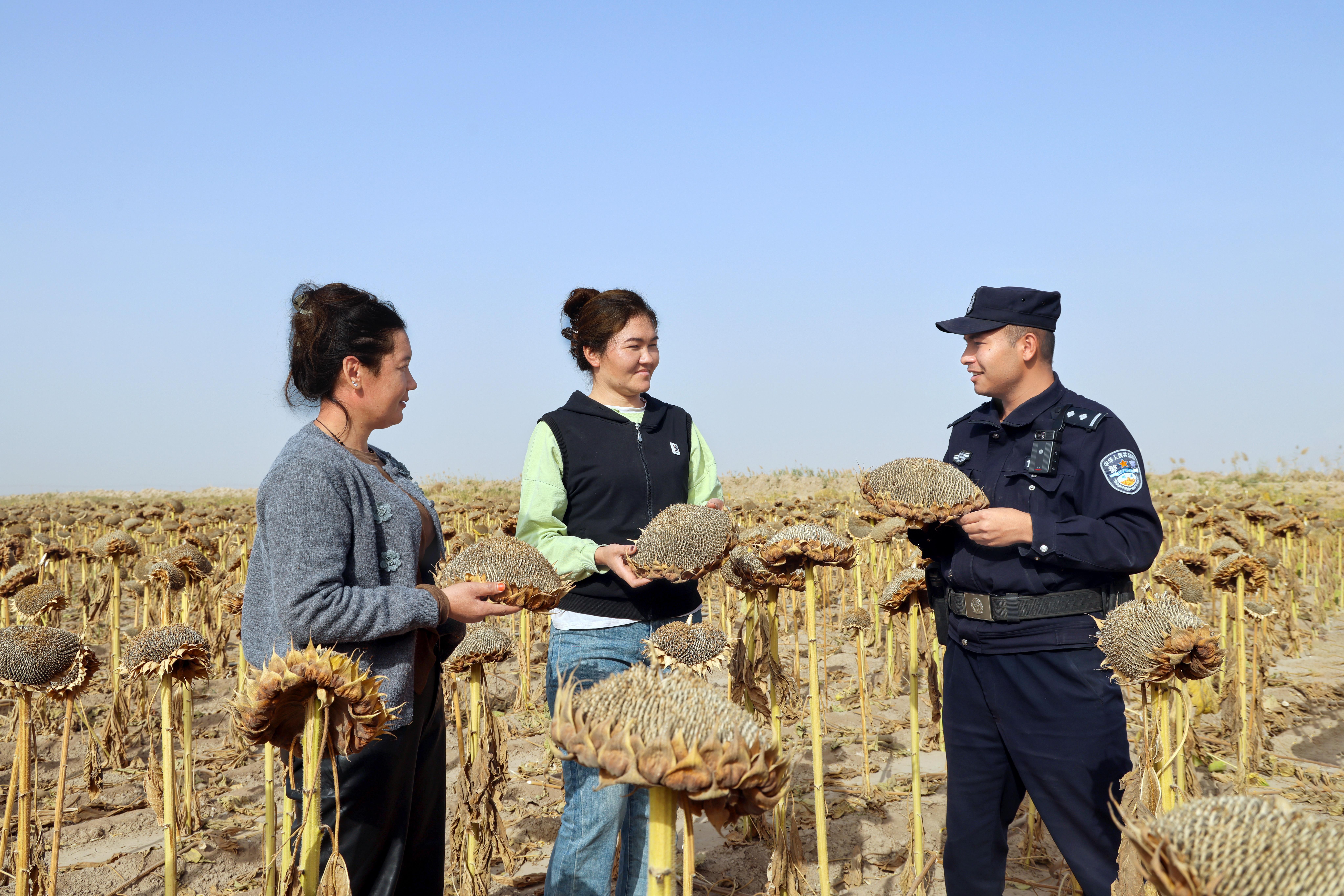 新疆巴楚公安：田間助農(nóng)服務(wù) 反詐宣傳守護(hù)群眾“錢袋子”