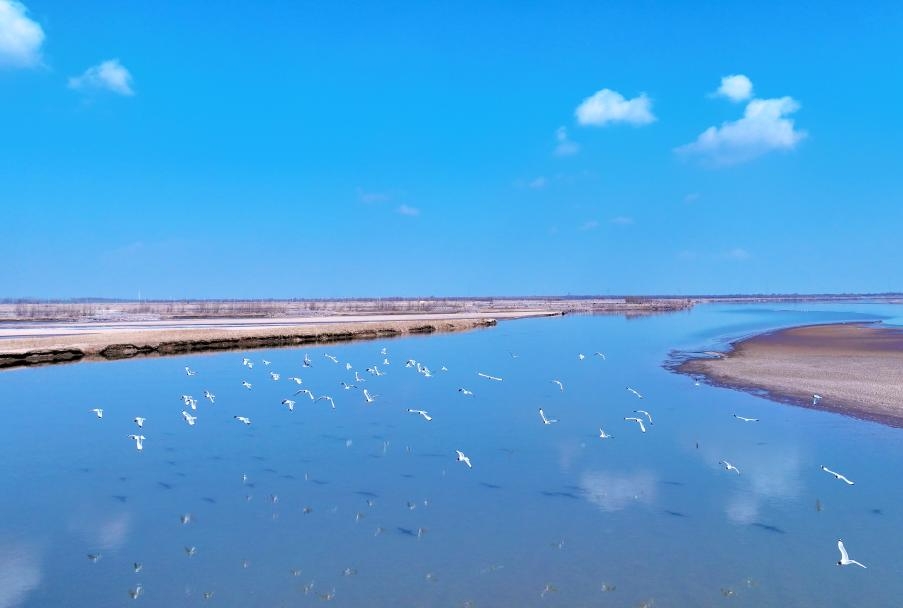 堅持以高水平保護支撐高質(zhì)量發(fā)展