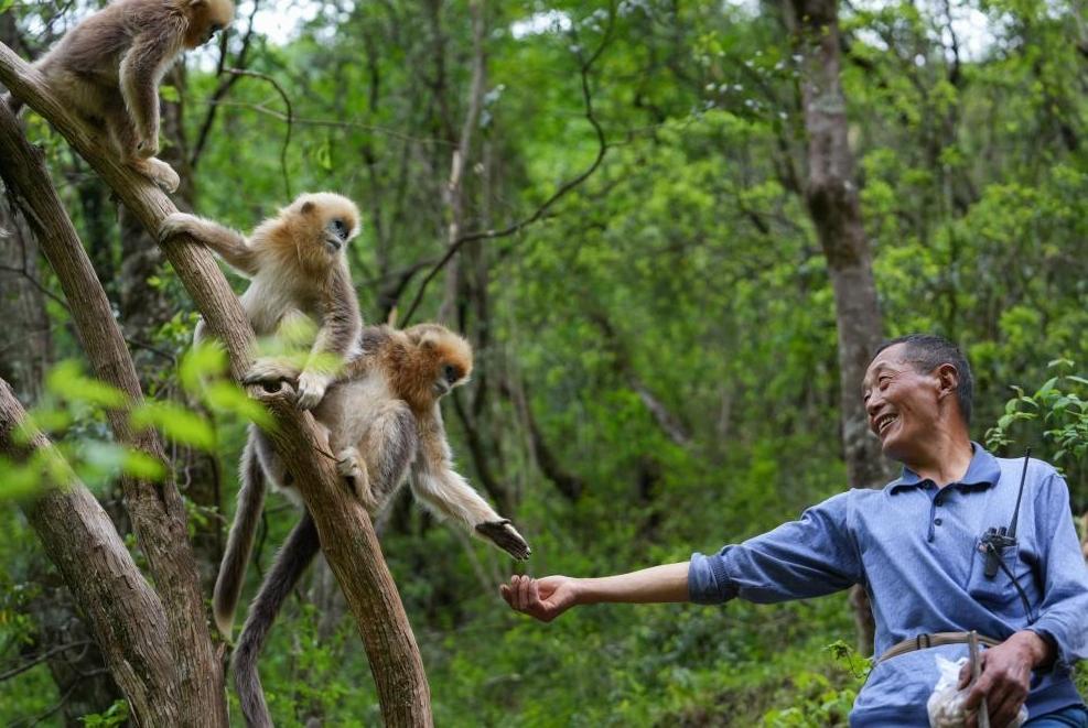 首次立法！國家公園筑起“法治屏障”