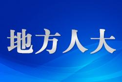 廣西人大：讓中國(guó)民主故事走出國(guó)門